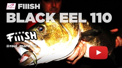 Vídeo | pescando lubinas con Black Eel 110 en la rompiente